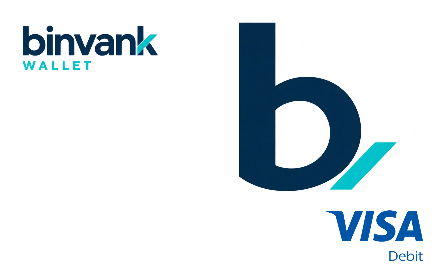 Tarjeta Visa Debit prepago de binvank Wallet en blanco